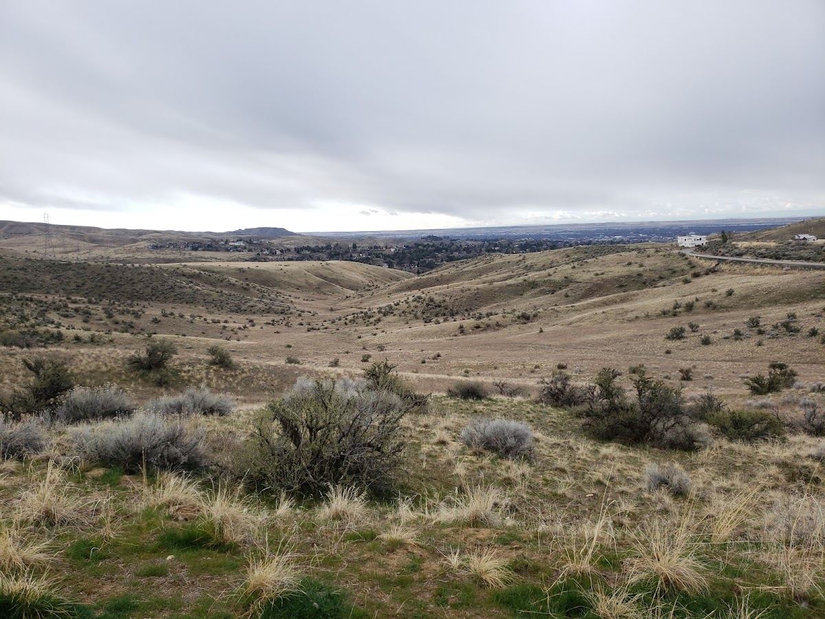 Corrals Trailhead Parking