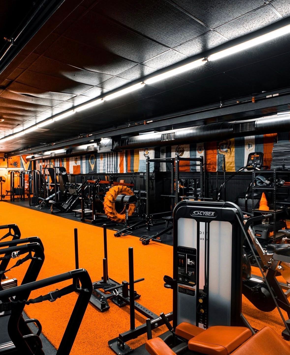 JAS Nutri-Fit - Gym, Fitness & Supplements