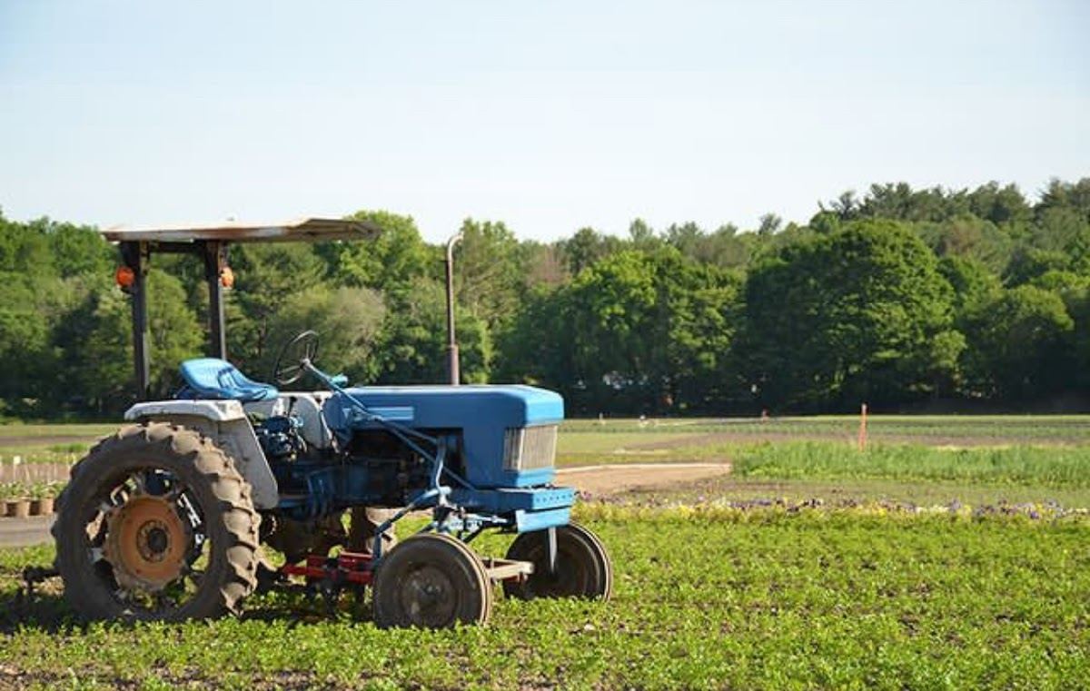 Wilson Farm Inc