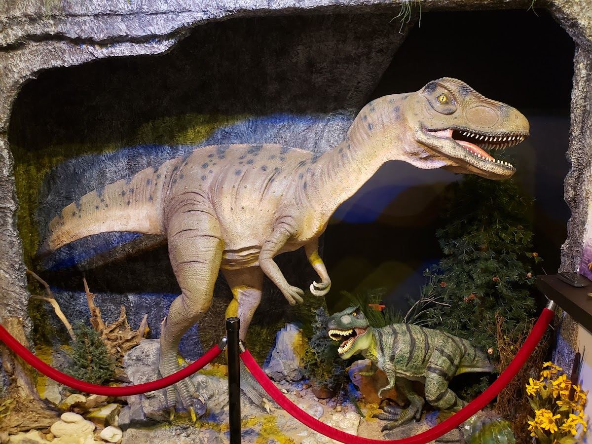 Creation Experience Museum
