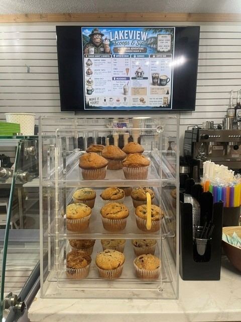 Lakeview Scoops & Sips