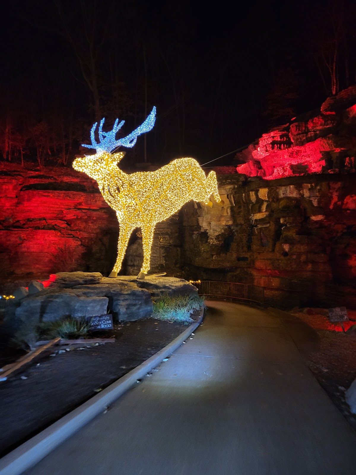 Nature at Night