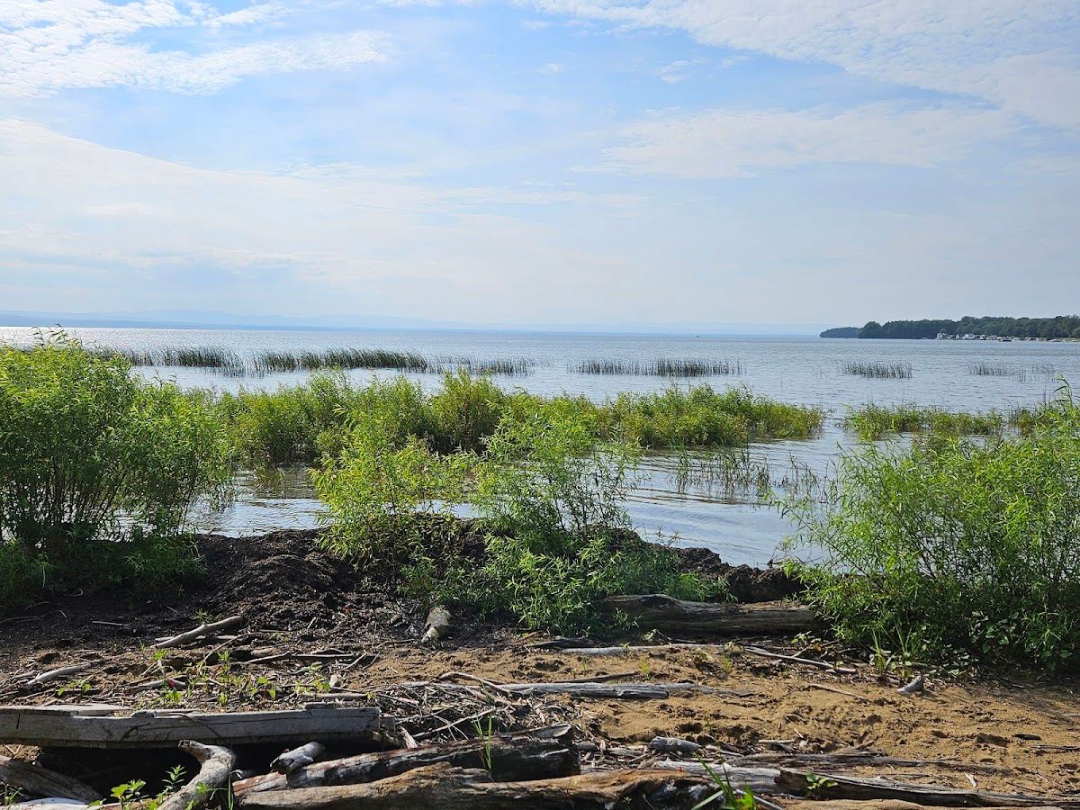 Delta Park
