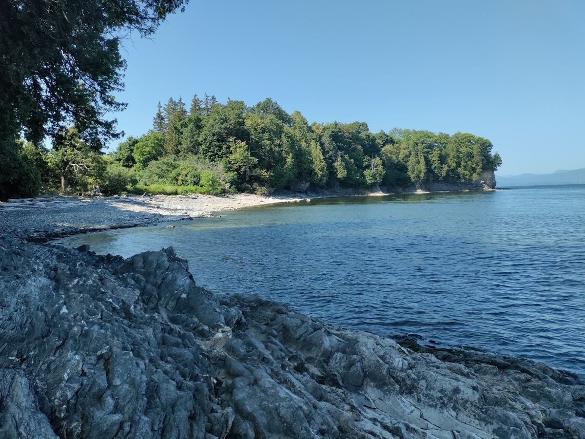 Scenic Beach Bench