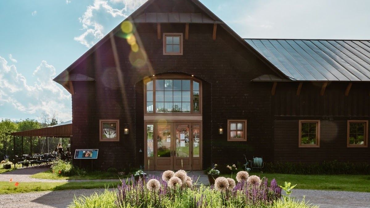 Shelburne Vineyard
