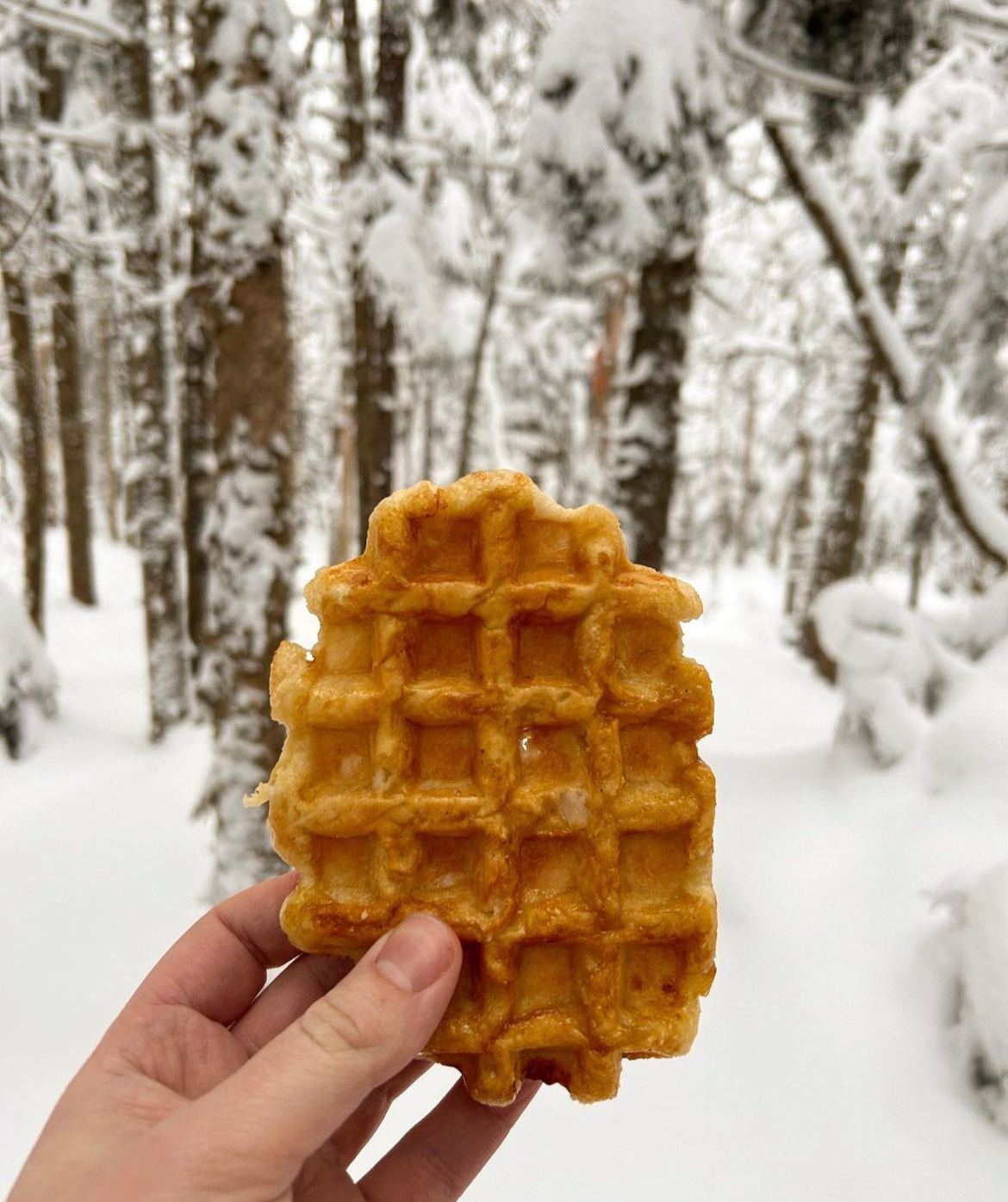 Waffle Cabin