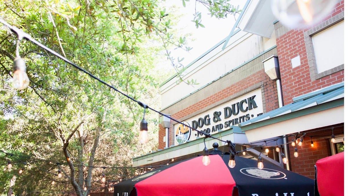 Dog and Duck
