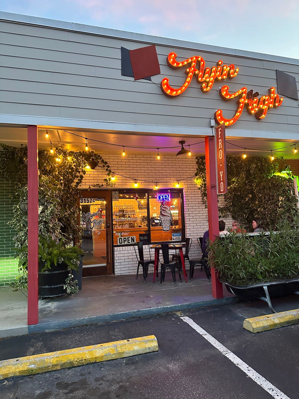 Flyin' High FroYo and More!