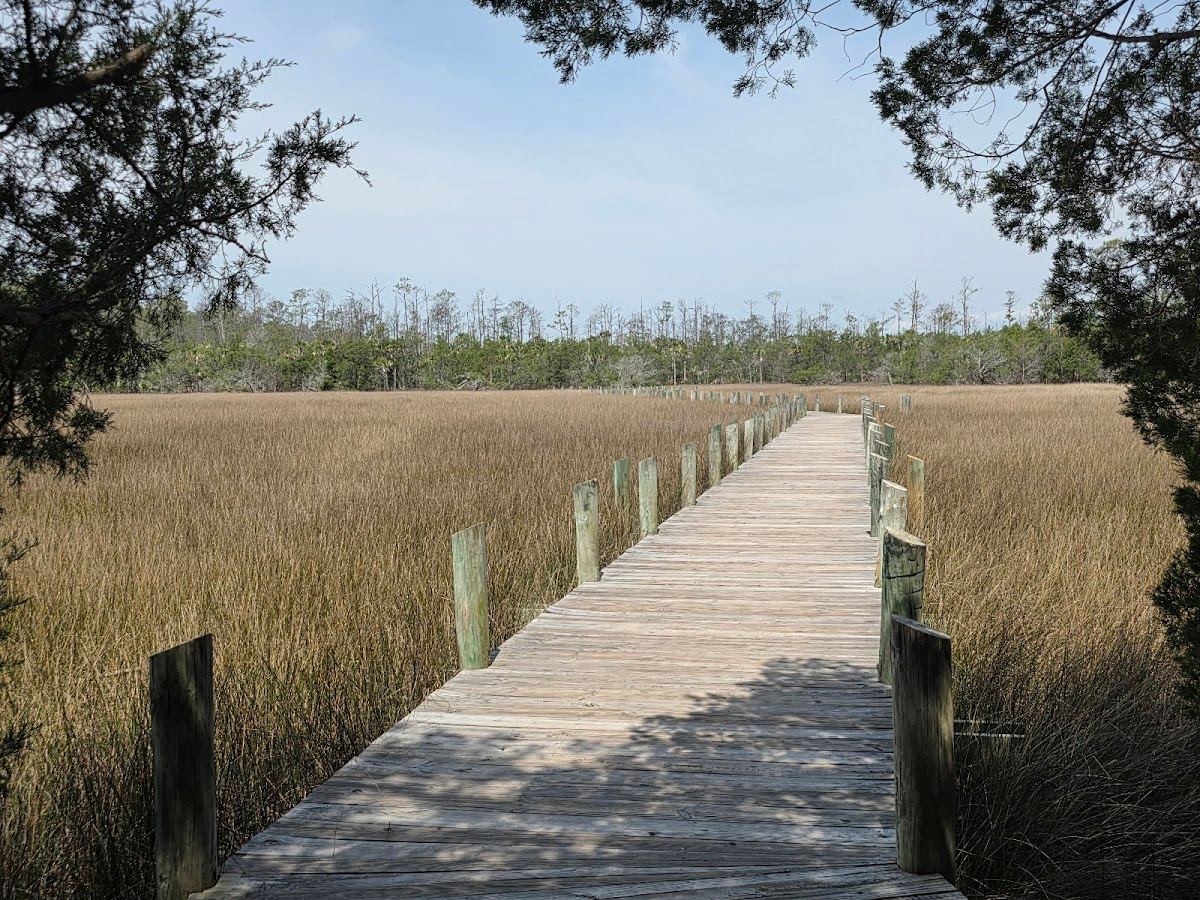 Palmetto Islands County Park
