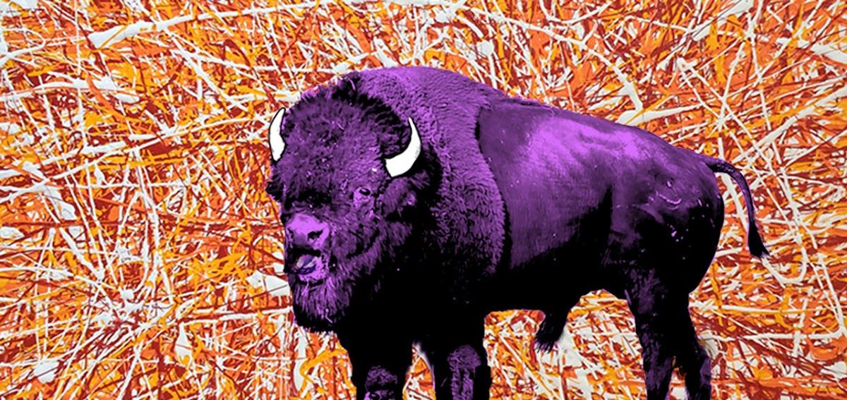 The Purple Buffalo