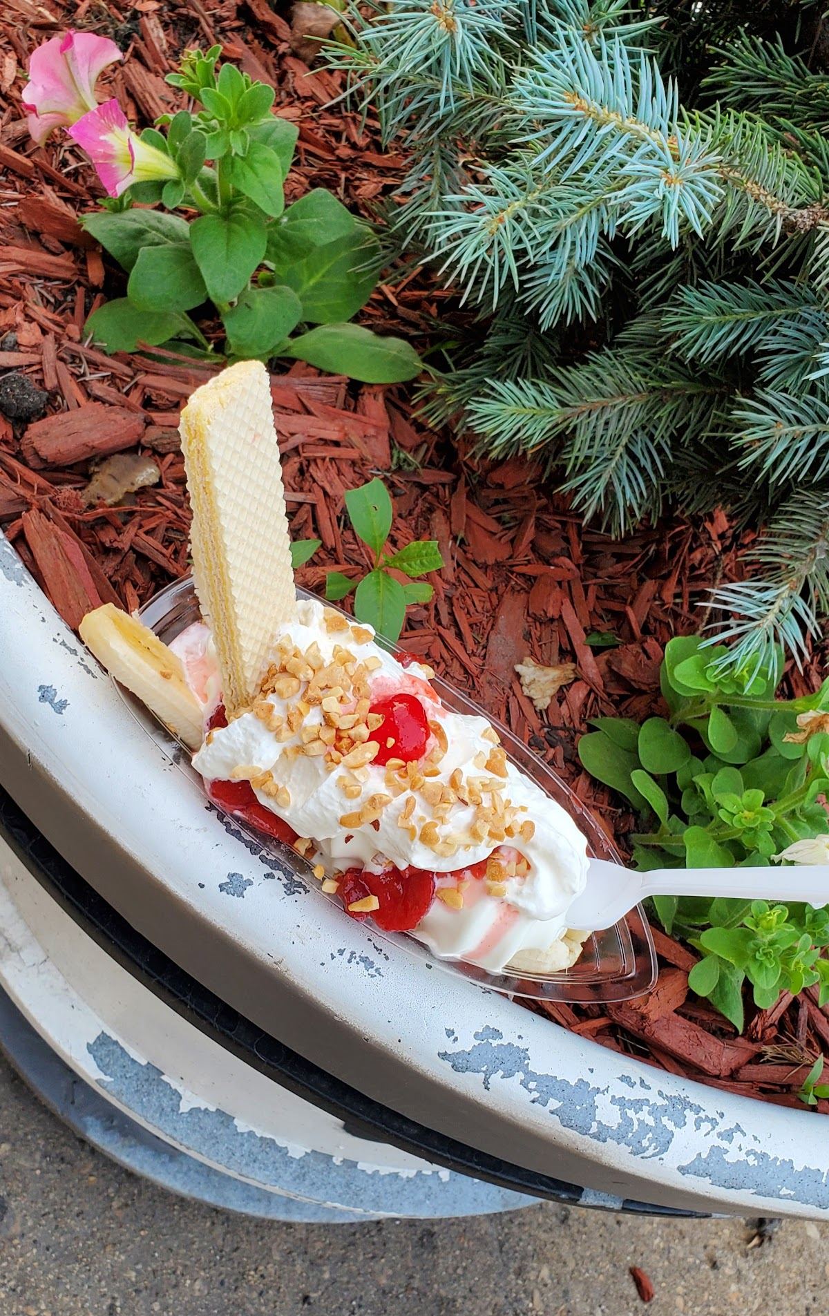 BETTY'S Ice Cream