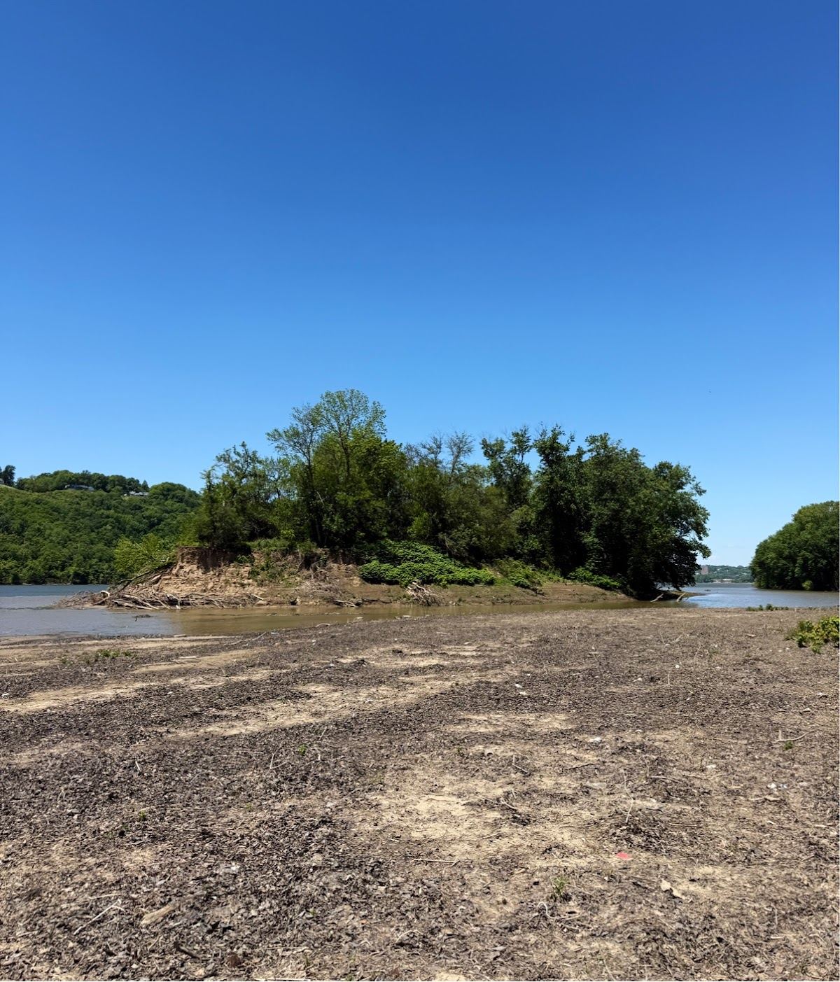 Chicken Island