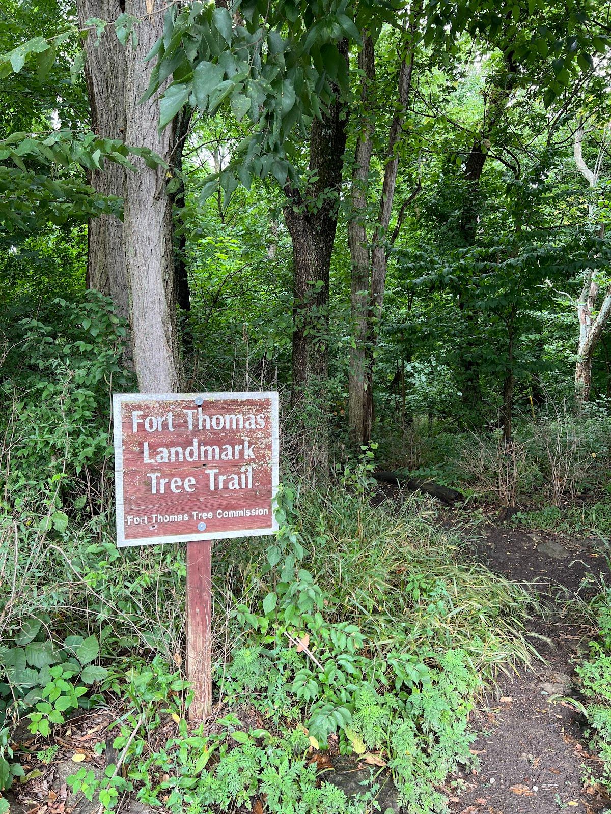 Fort Thomas Landmark Tree Trail