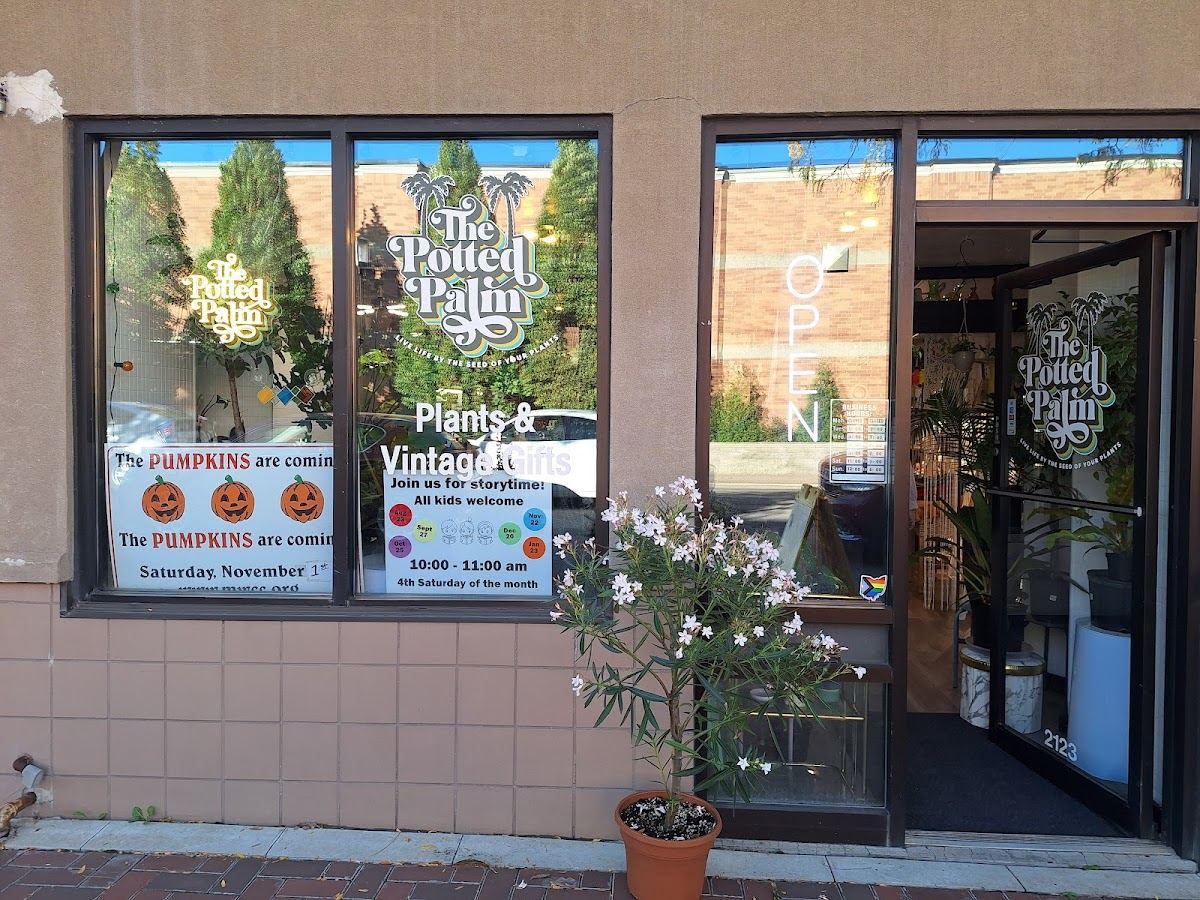 The Potted Palm