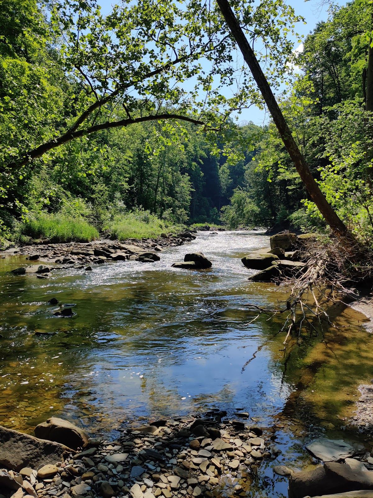 Egbert Picnic Area