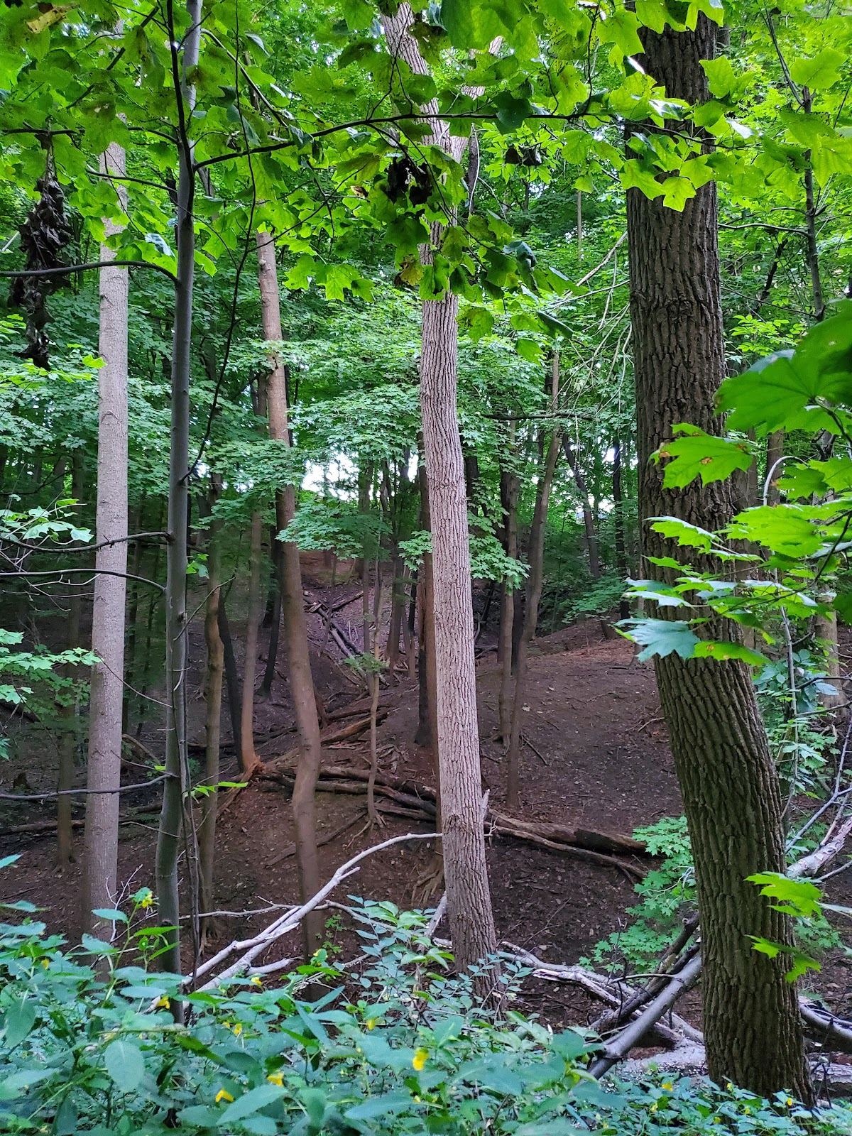Harmody Park