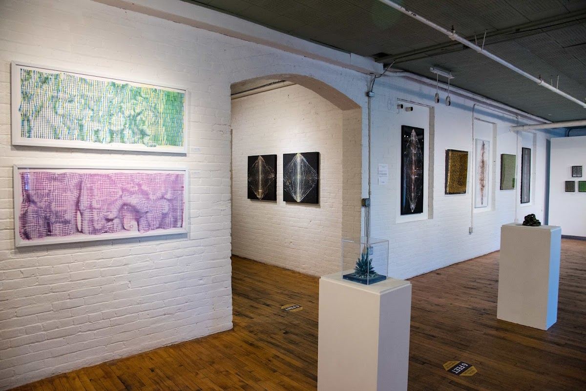 HEDGE Gallery