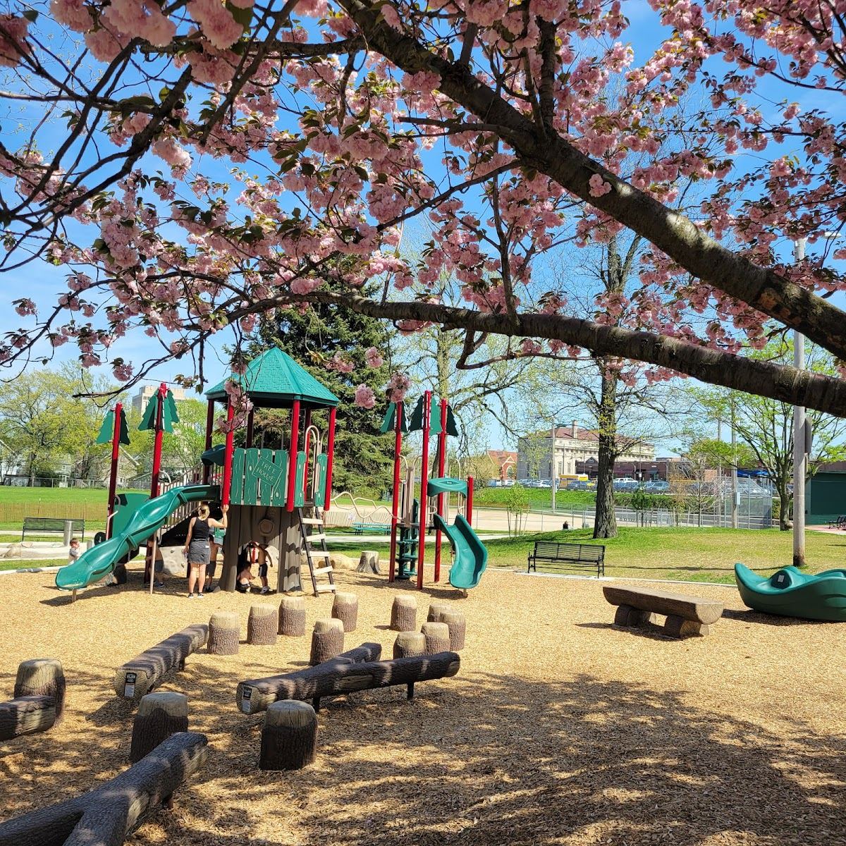 Kauffman Park