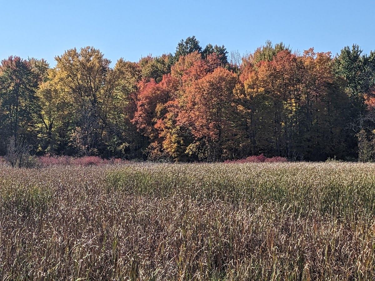 Lake Abram Metropolitan Reservation
