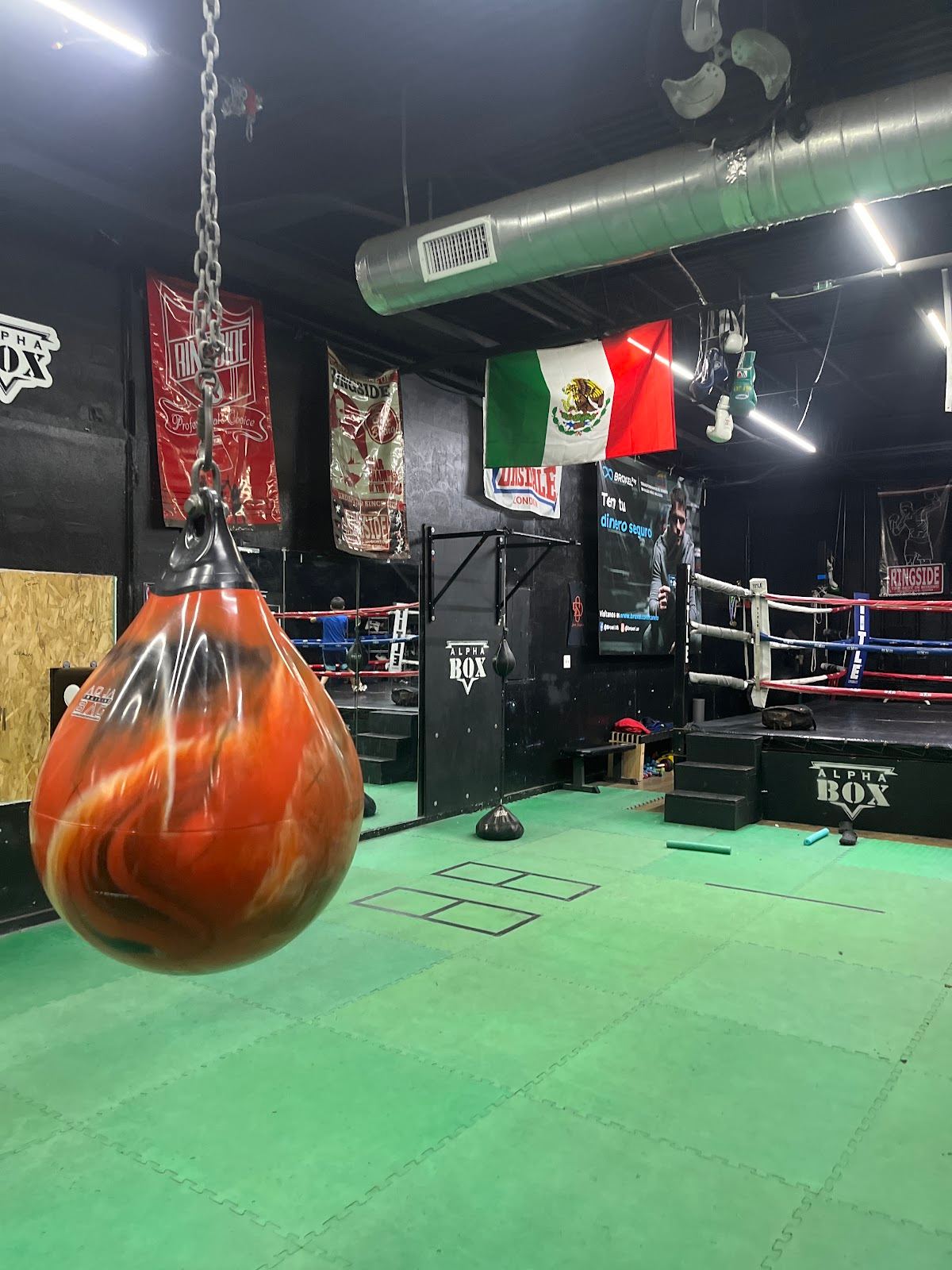 AlphaBox Boxing & Fitness