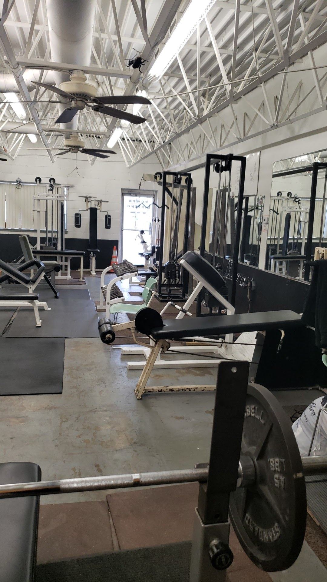 Mekuly's Gym