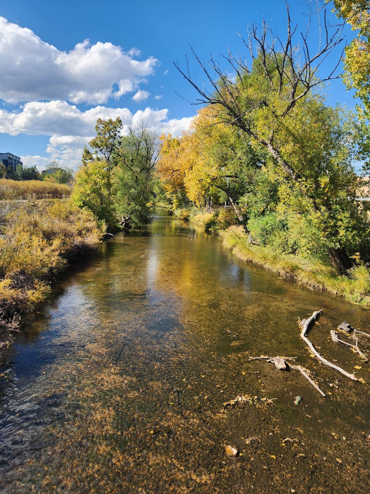 Bear Valley Park