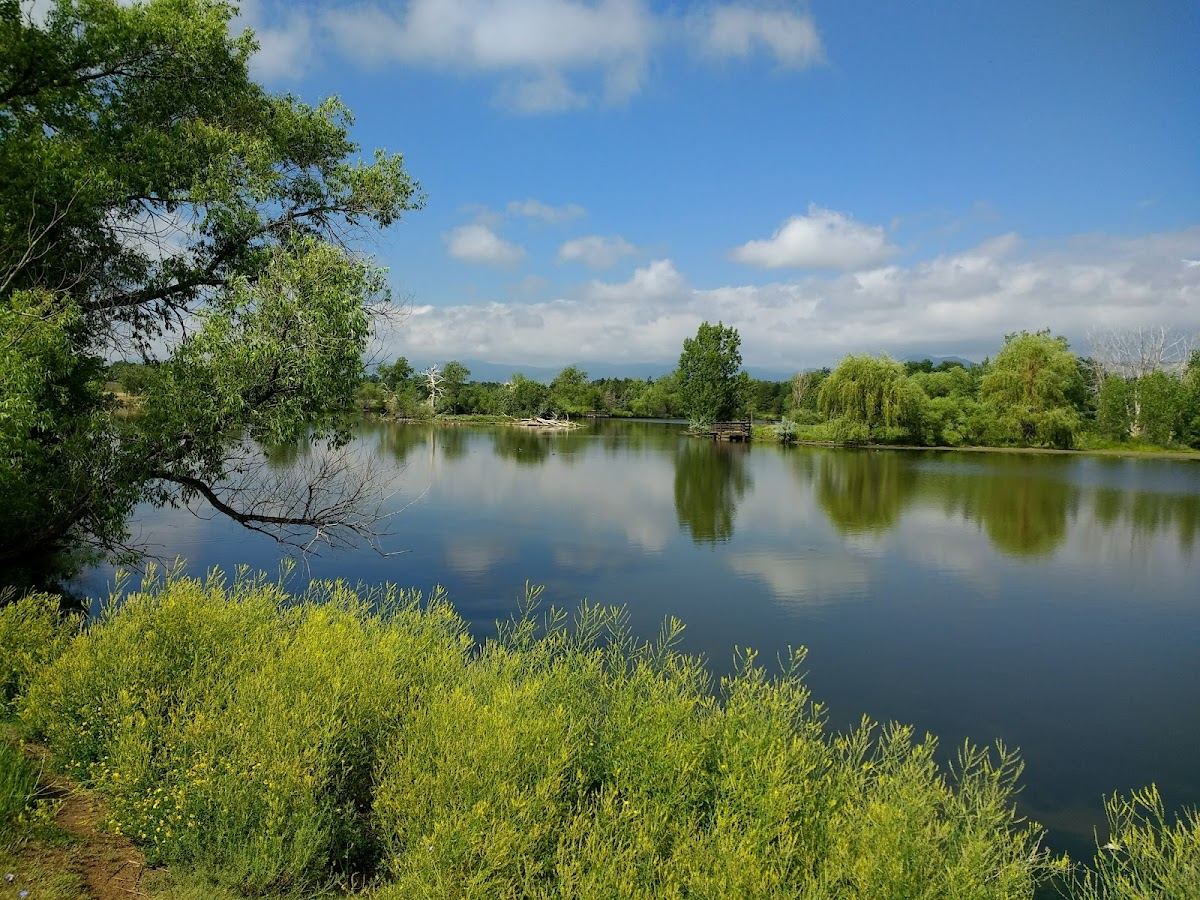 Belmar Park