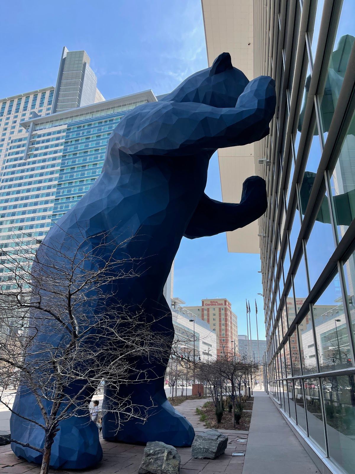 Big Blue Bear