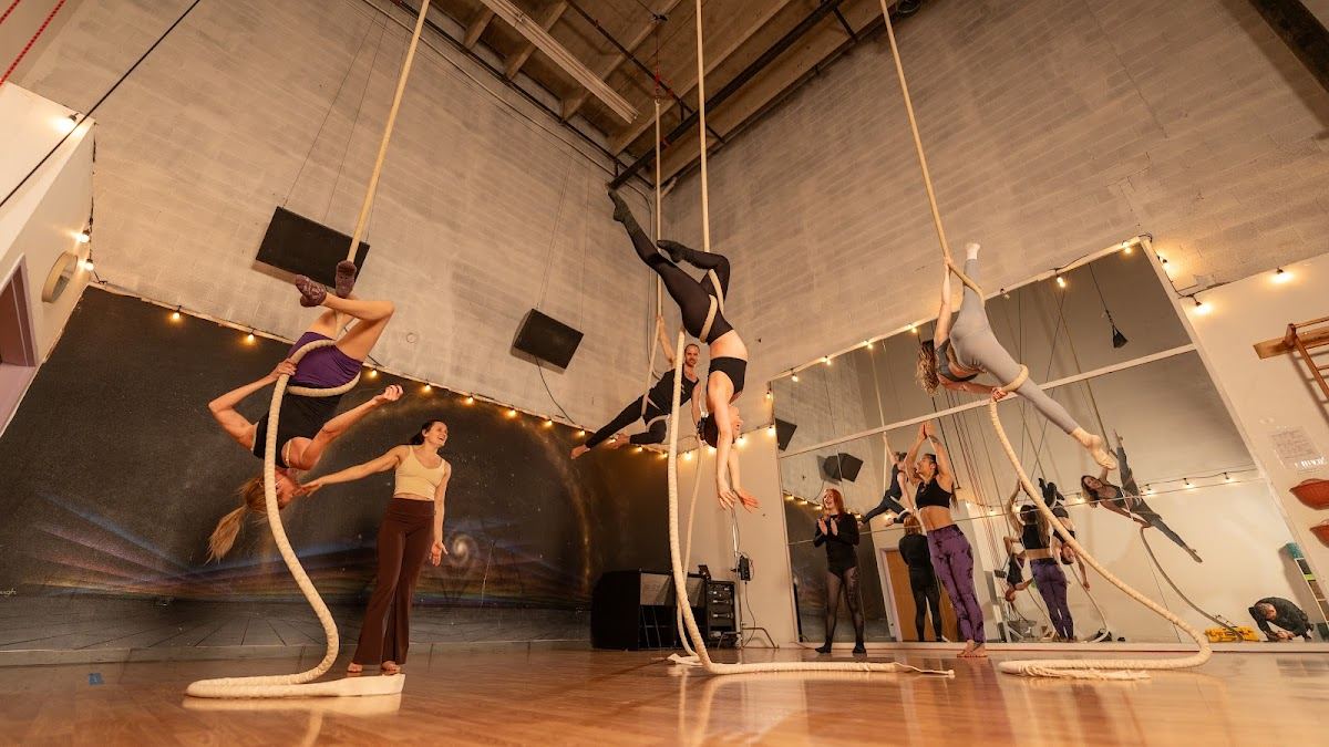 Circus Collective