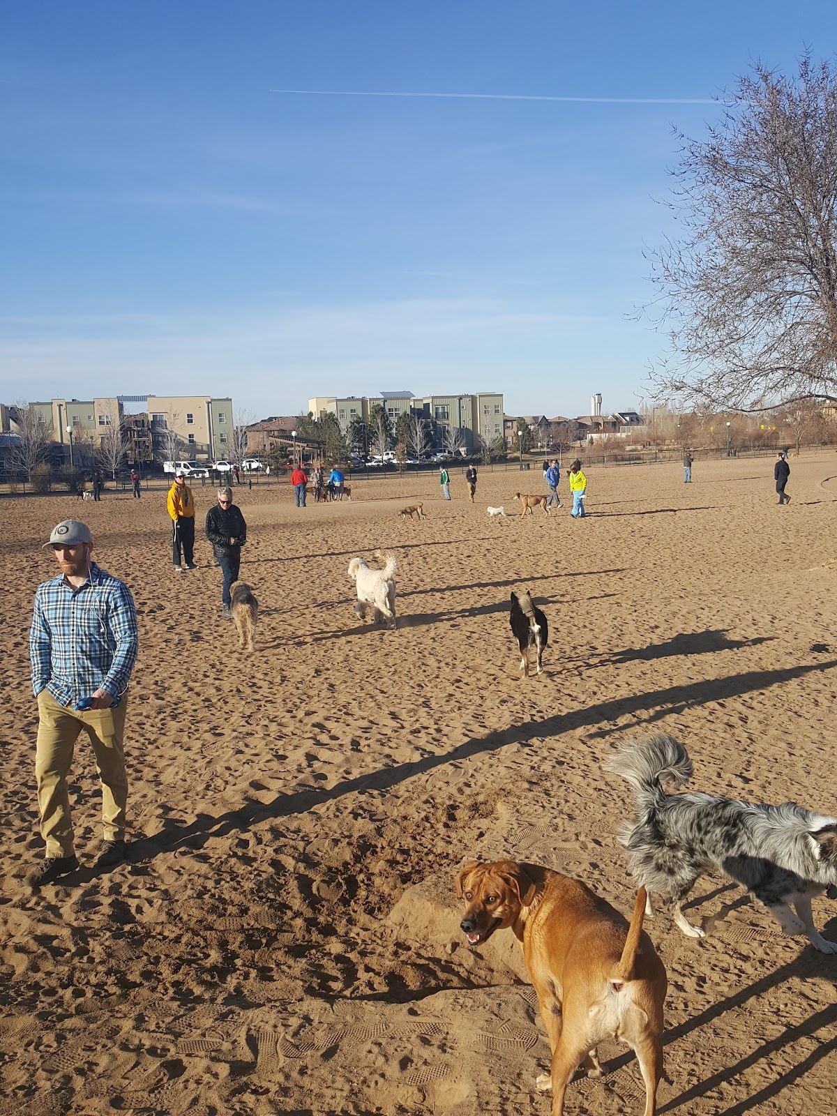 Greenway Off Leash Dog Park