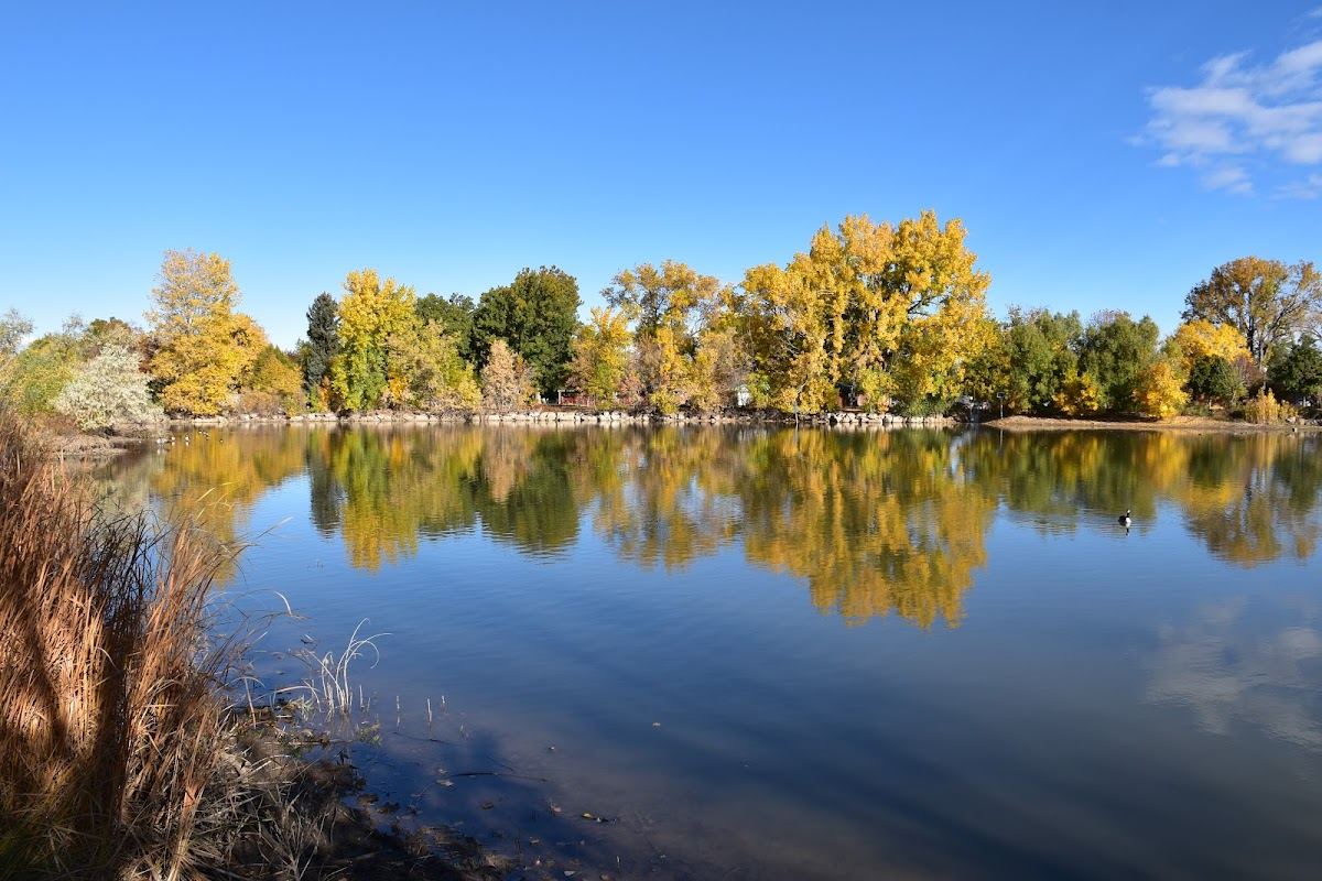 Harvey Park Lake