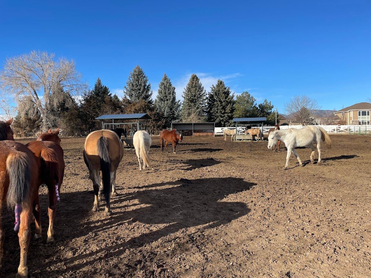 Iron Gait Ranch