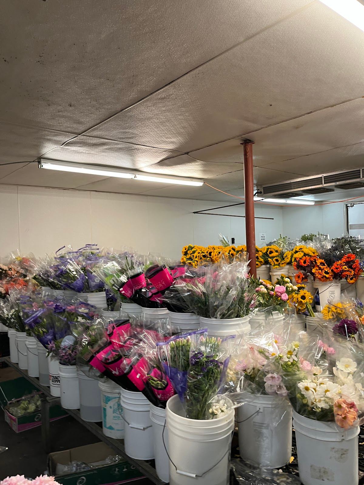 Stevens and Son Wholesale Florist