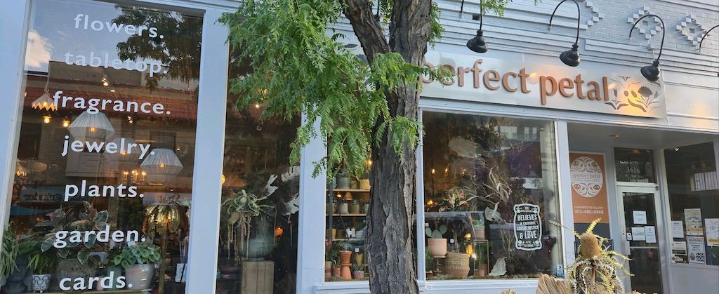 The Perfect Petal | Denver Florist