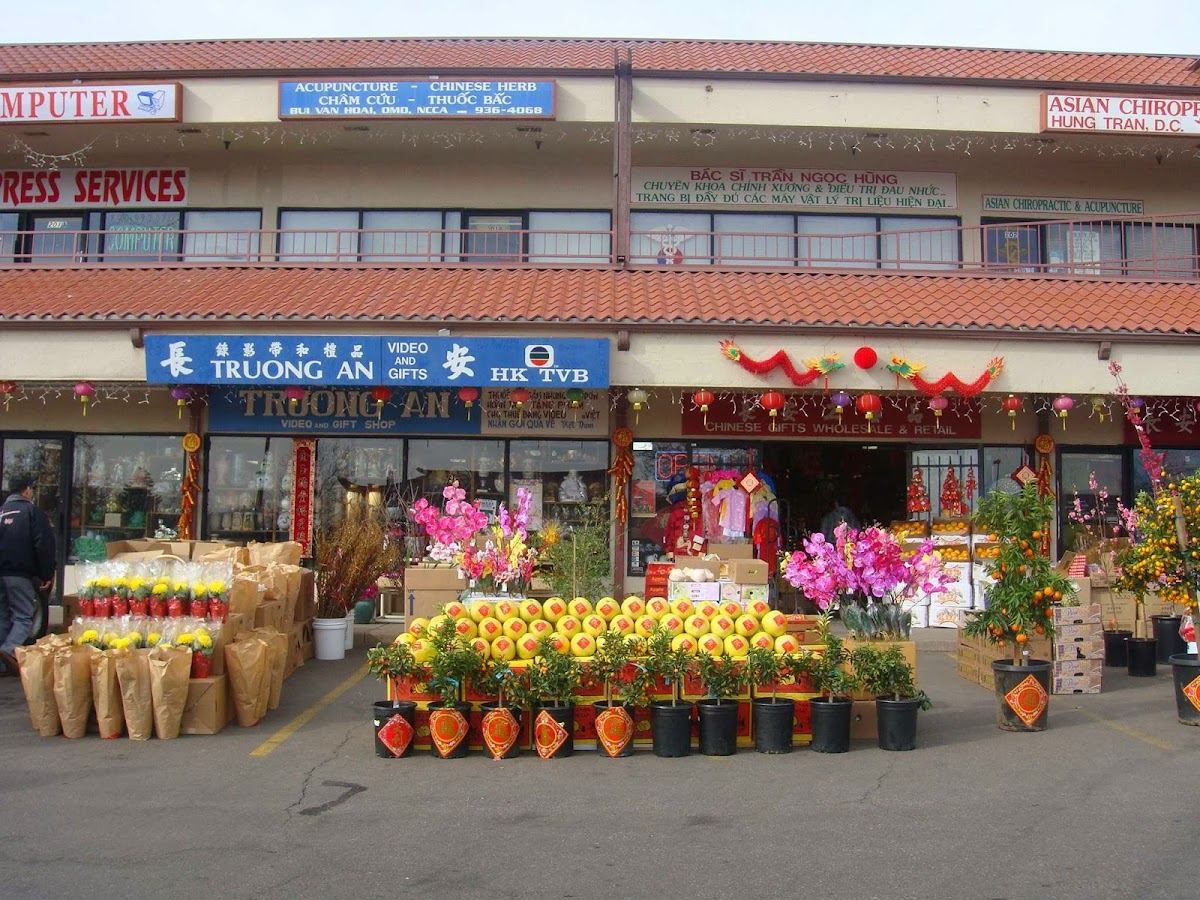 Truong An Inc