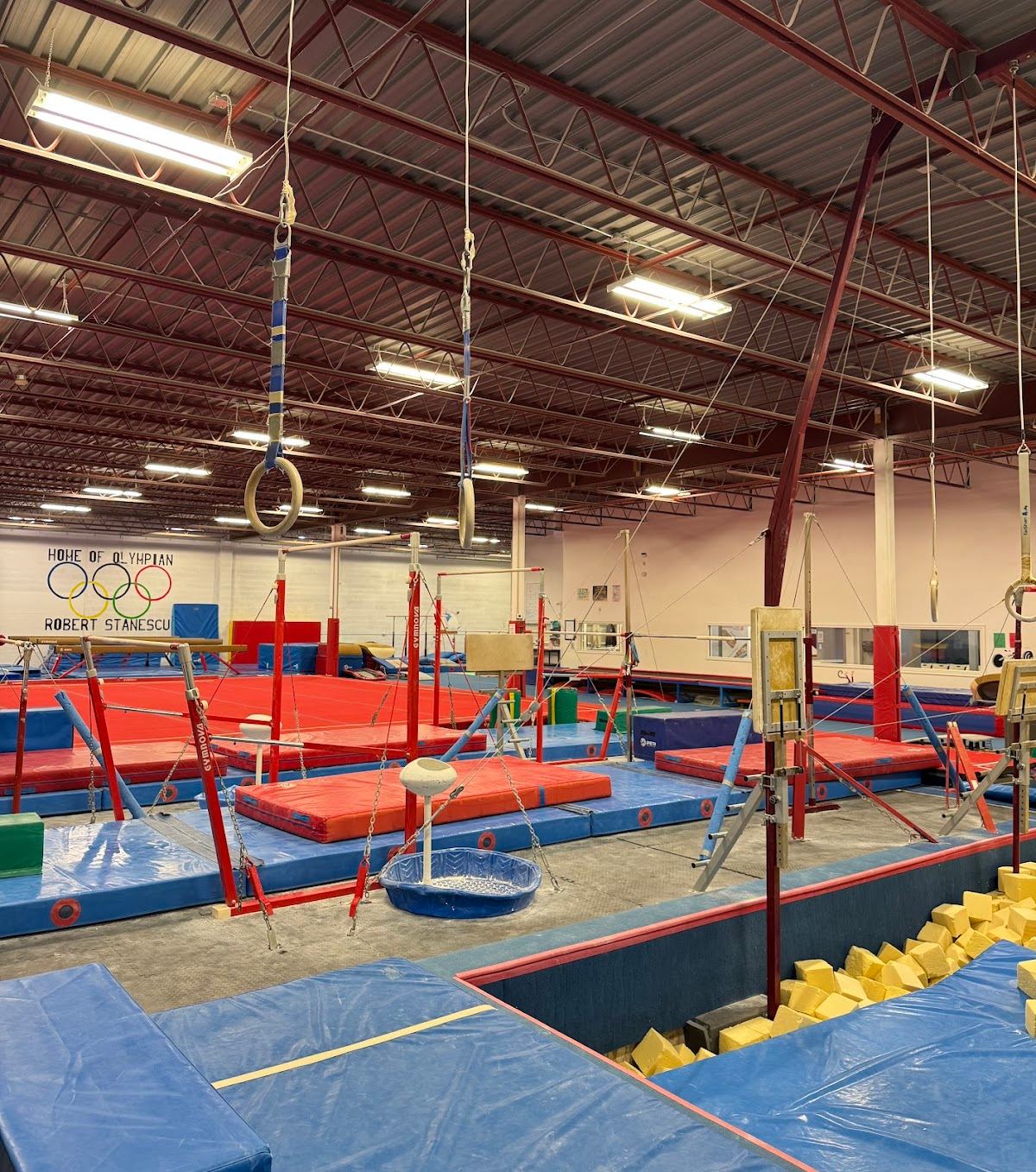 Alpha Gymnastics Academy