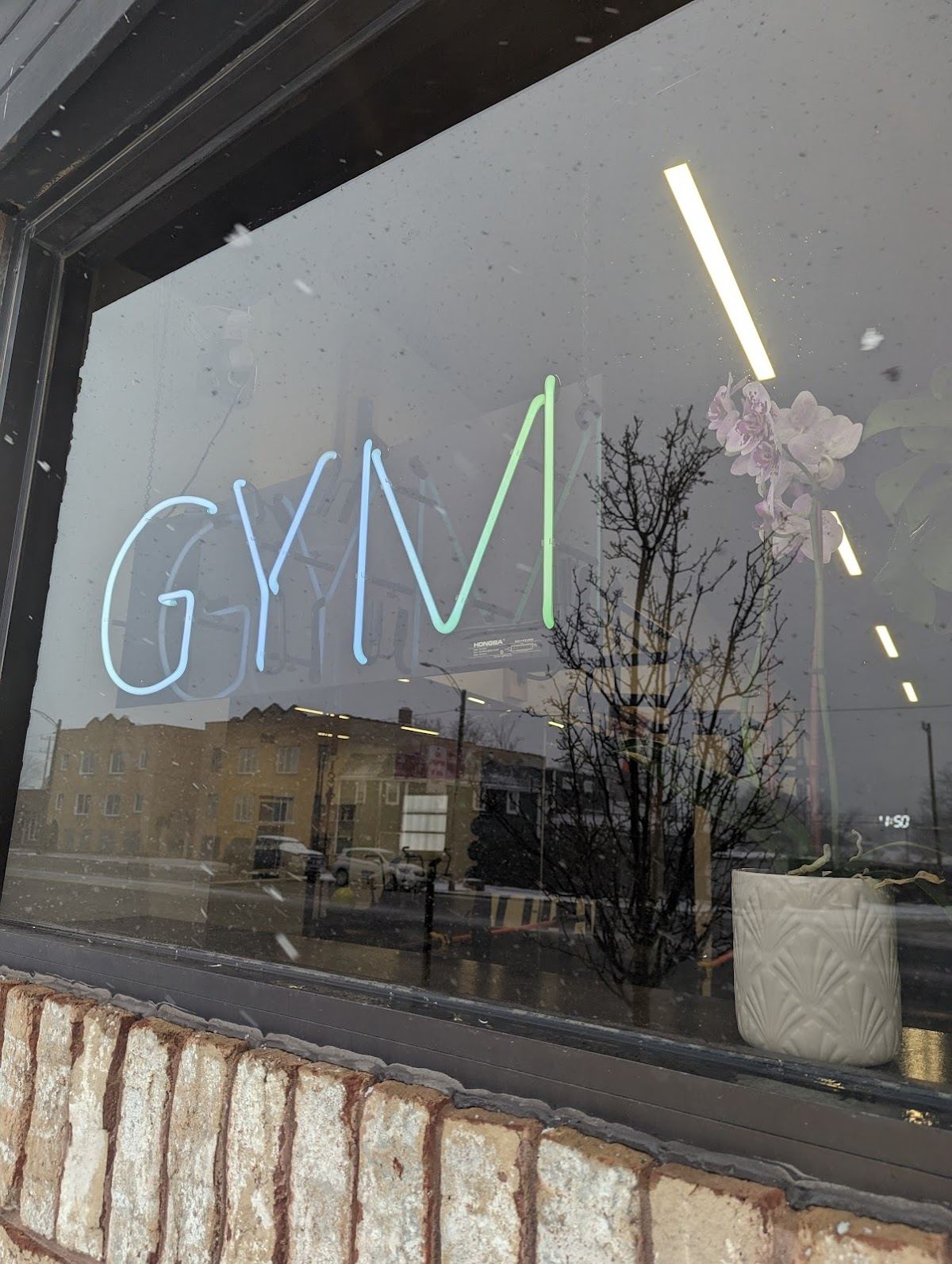 The Gym