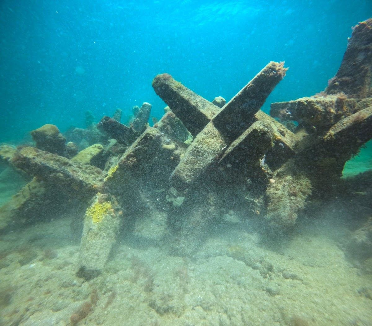 Dania Erojack Artificial Reef
