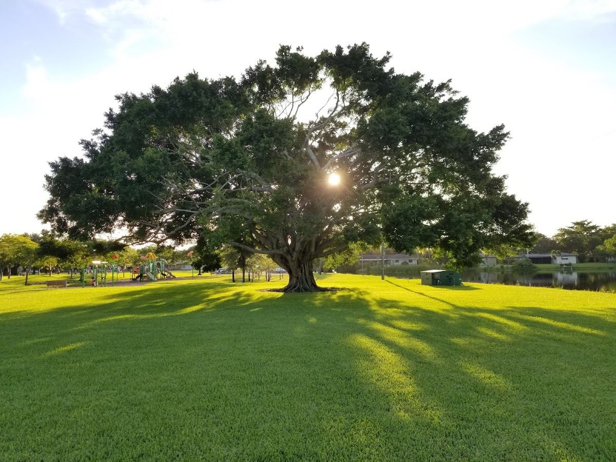 Fig Tree Park