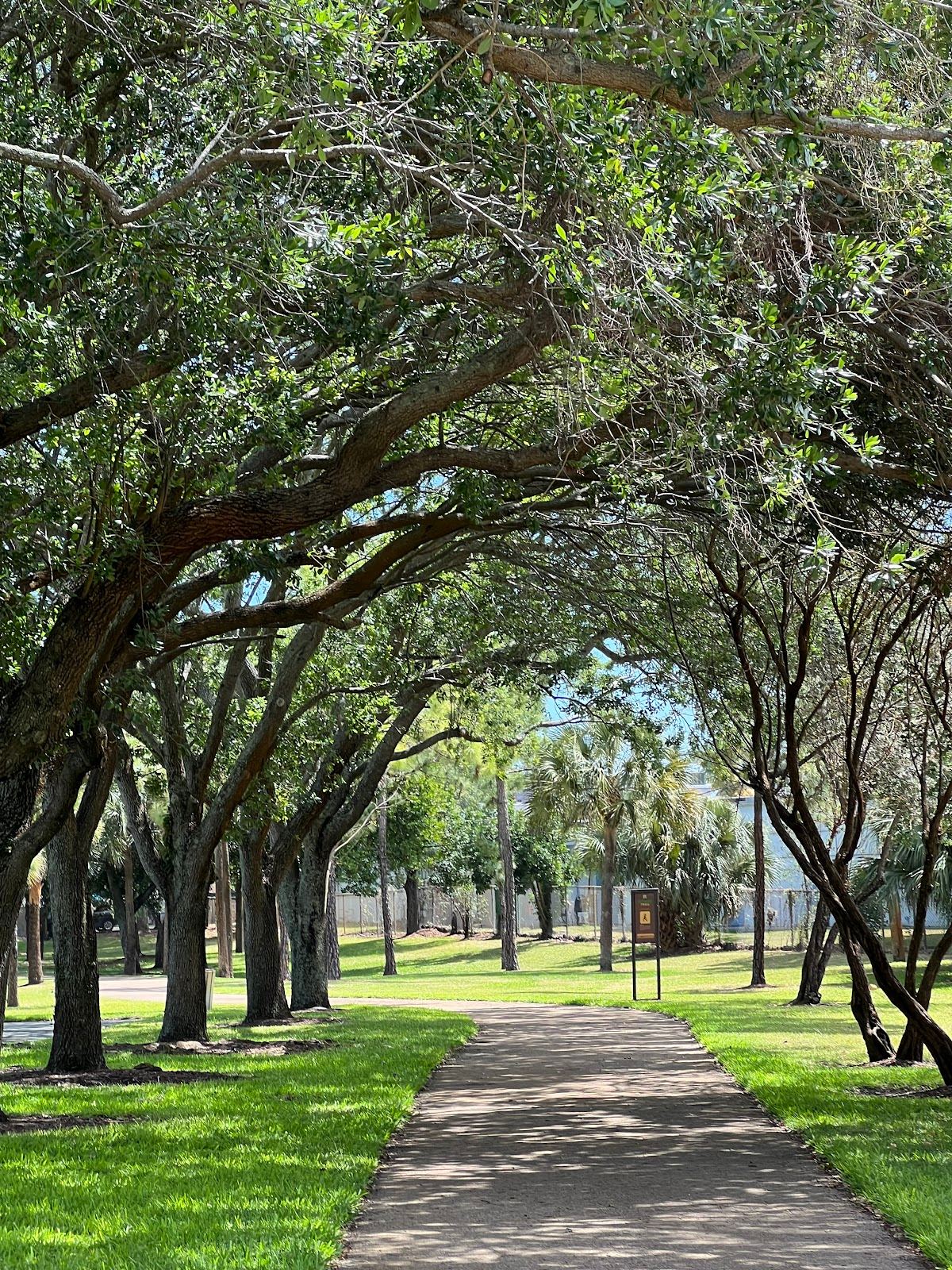 Shirley Small Park