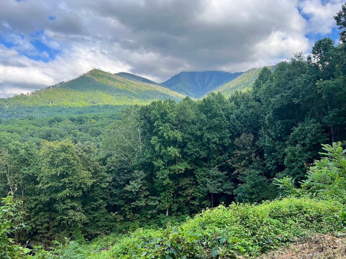 Carlos C. Campbell Overlook