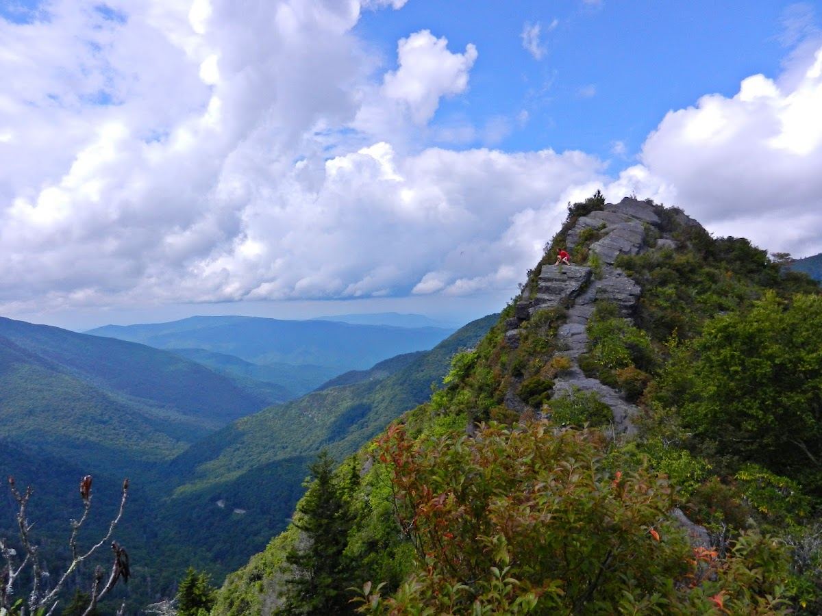 Chimney Tops