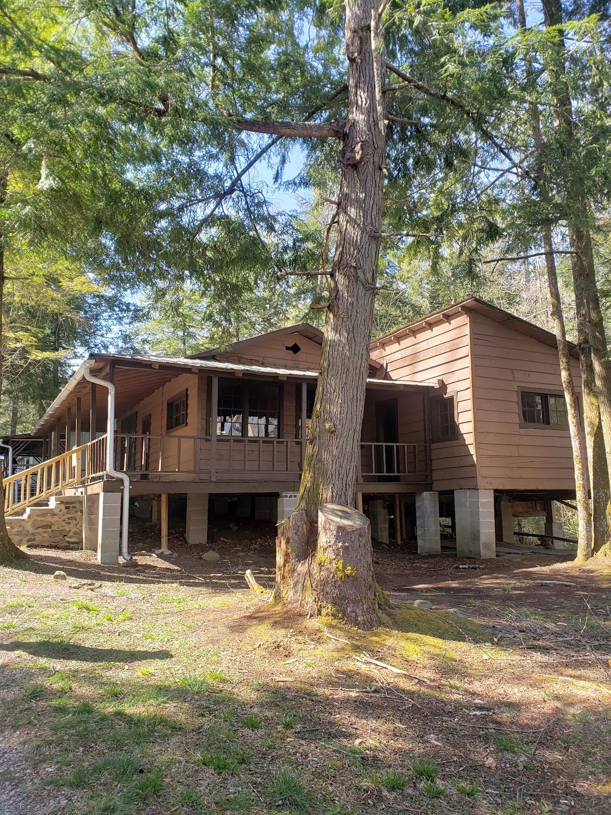 Club Cabin #4, Swan