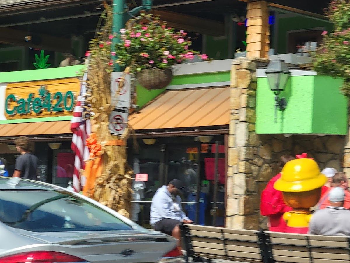 Gatlinburg Children Store