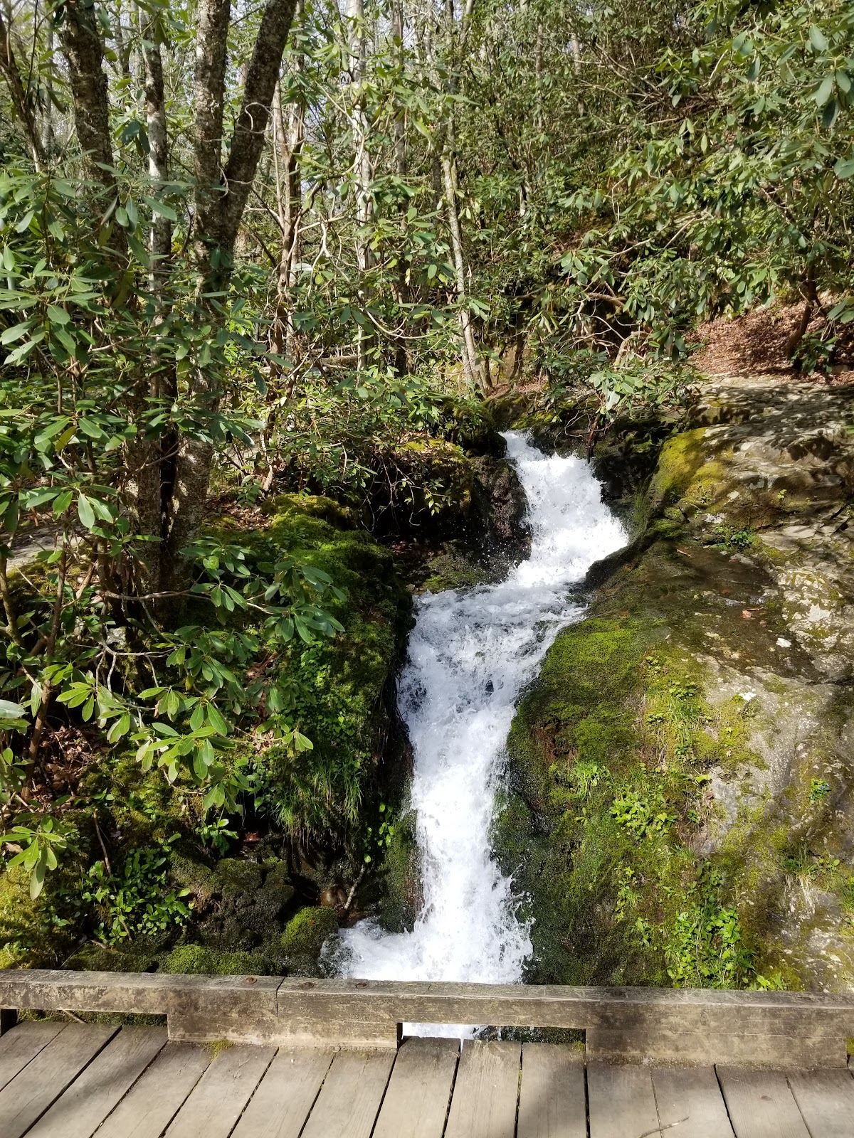 Huskey Branch Falls