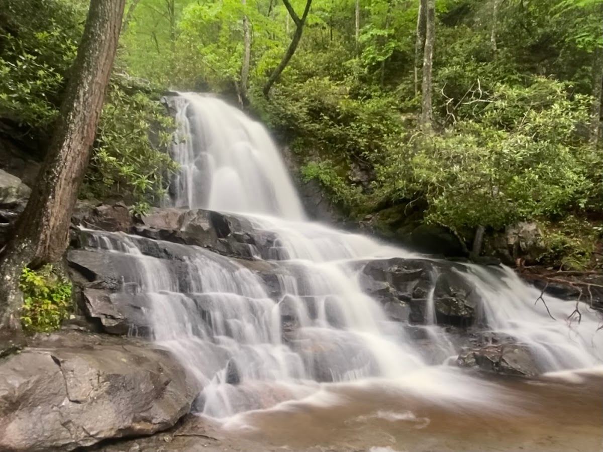 Laurel Falls