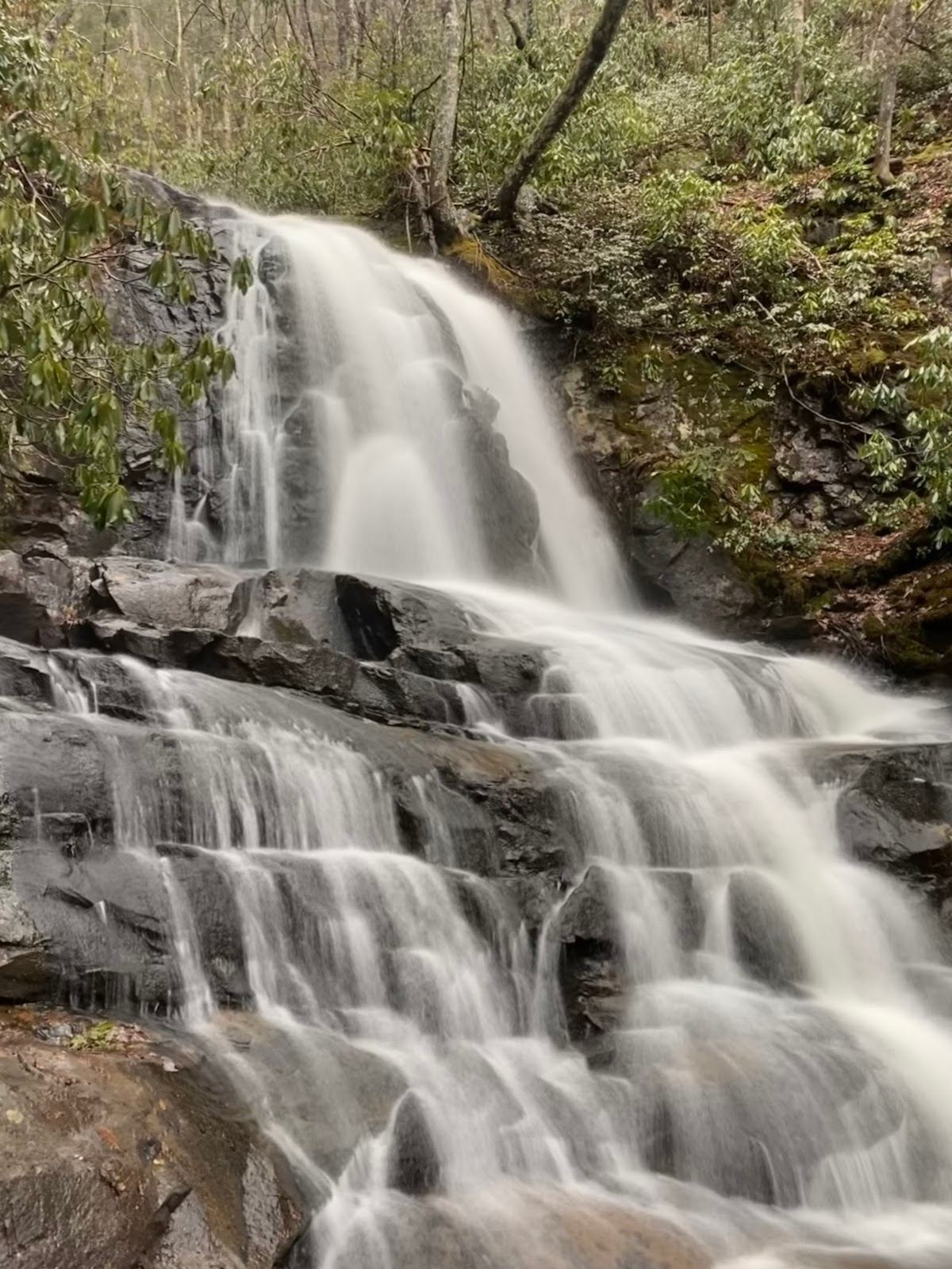 Laurel Falls Trailhead