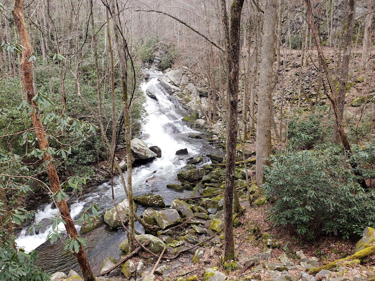 Lynn Camp Prong Cascades