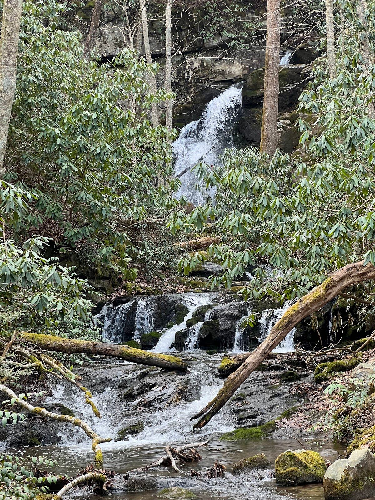 Mannis Branch Falls