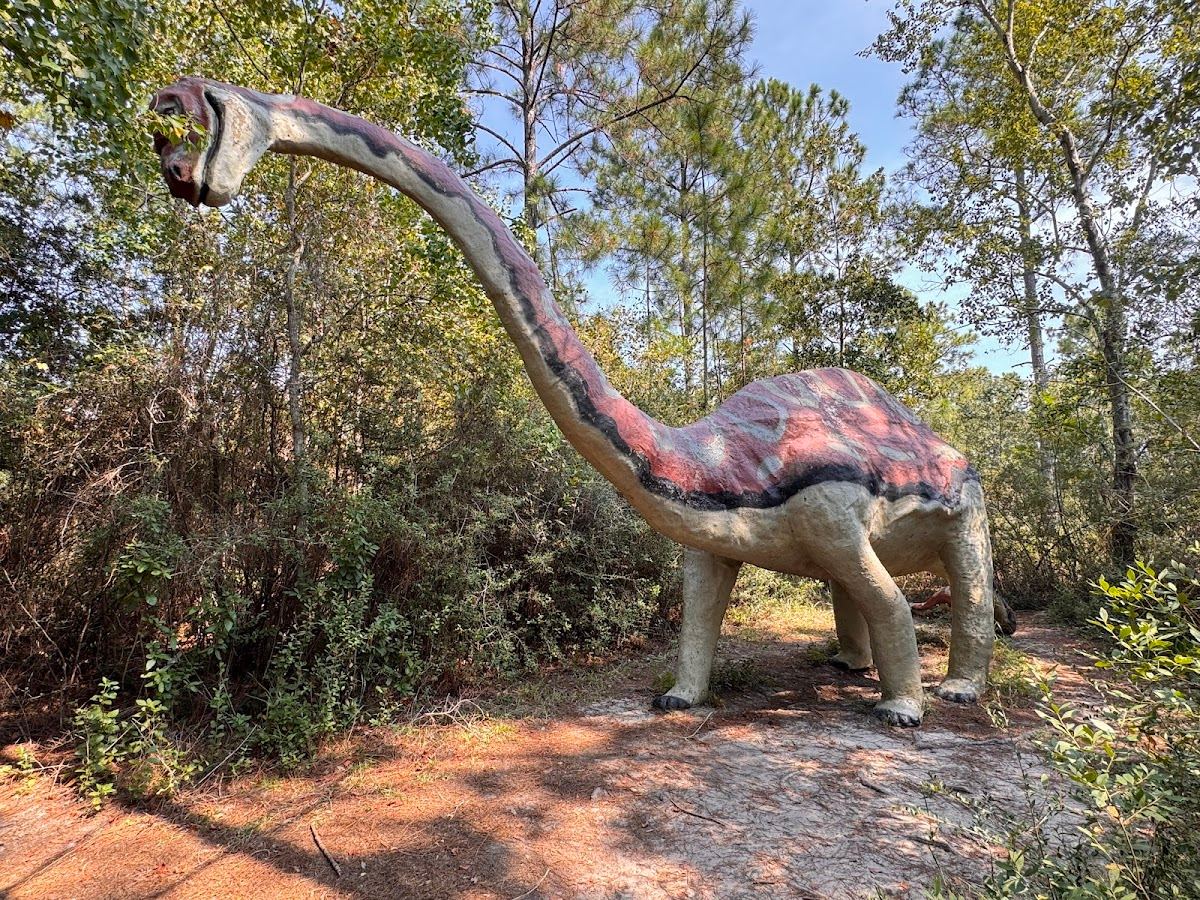 Dinosaurs In The Woods -- Brontosaurus